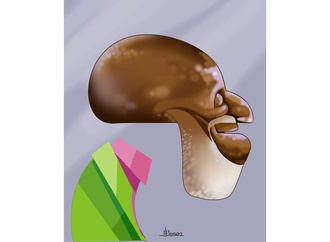 سو نلسون