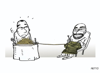 
                                                            roberto netto brazil 28