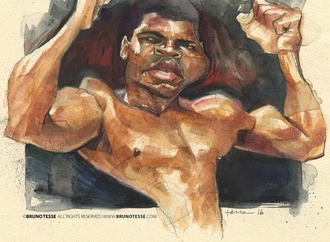 
                                                            bruno tesse 4