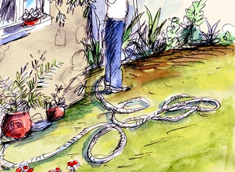 
                                                            daniel maja france 27