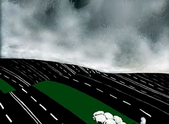 
                                                            darko drljevic montenegro 50