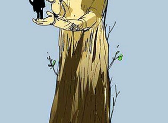 
                                                            mohammad rafi zeyaei iran 34