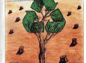 
                                                            mehmet zeber 5