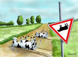 
                                                            saeed sadeghi iran 6