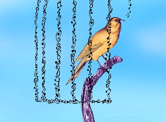 
                                                            mohammad hosein akbari 3
