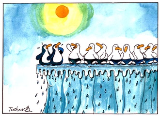 
                                                            toshow borokovic serbia 62