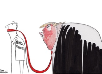 
                                                            ann telnaes sweden 35