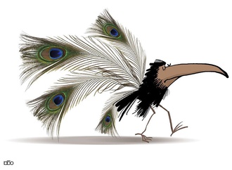 
                                                            alireza karimimoghadam iran