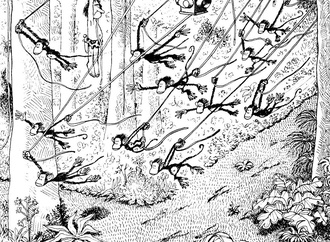 
                                                            quino argentina 21