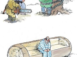 
                                                            klaus pitter austria 41