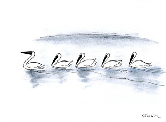 
                                                            muhammet sengoz turkey 14