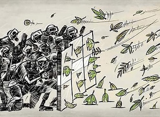 
                                                            oguz demir5