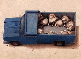 
                                                            naser moghadam iran2