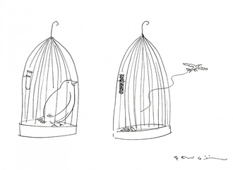 
                                                            muhammet sengoz turkey 40