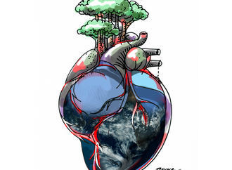 
                                                            rayma suprani venezuela 2