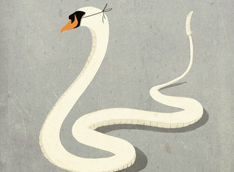 
                                                            andrea ucini denmark 57