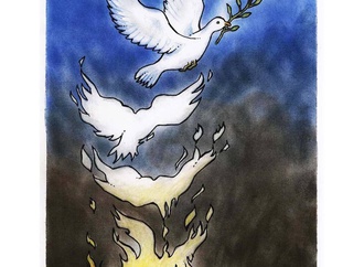 
                                                            mehmet zeber turkey 33