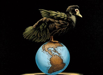 
                                                            robert deyber usa 9
