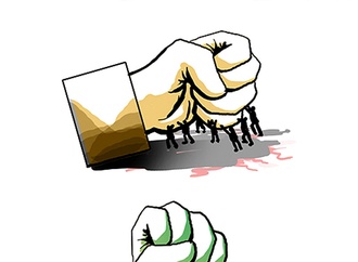 
                                                            ayat naderi iran 13