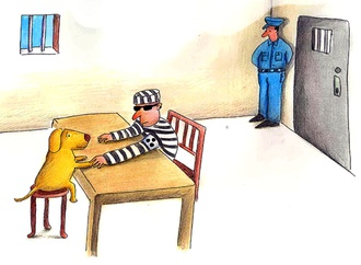 
                                                            masoud ziaei zardkhashoei iran 25