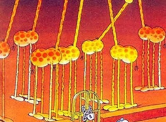 
                                                            guillermo mordillo argentina 11