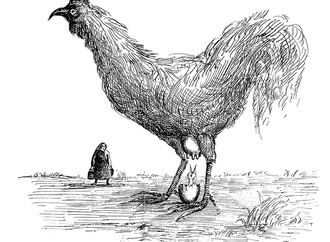 
                                                            roland topor france 48