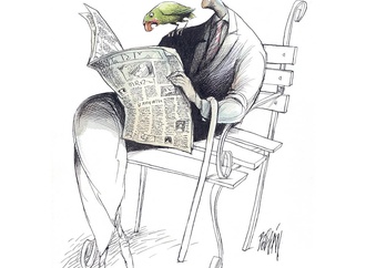 
                                                            angel boligan mexico