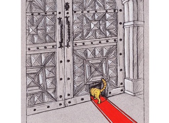 
                                                            mehmet zeber turkey 39