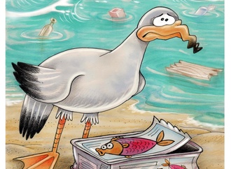 
                                                            ana maria pilipczuk argentina 5