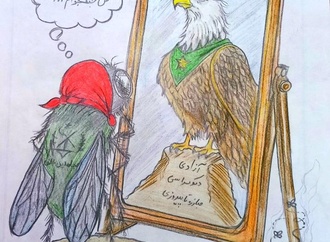 
                                                            roya ghaderi 3