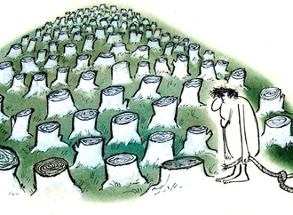 
                                                            ismet voljevica croatia 31