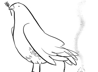 بدون شرح