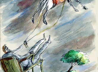 
                                                            daniel maja france 36