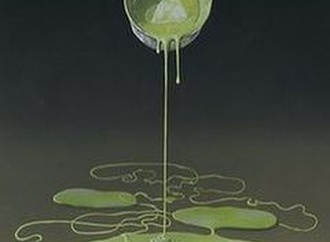 
                                                            bjorn richter norway 17