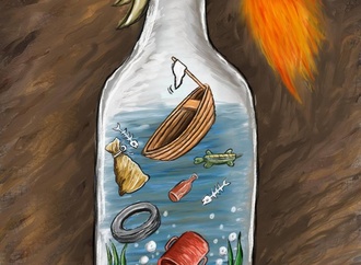 
                                                            musa keklik turkey 11