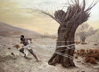 
                                                            mahmoud azadnia iran web28