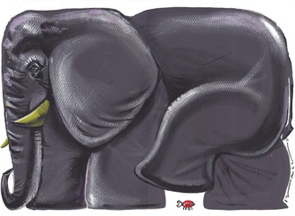 
                                                            ivailo tsvetkov5