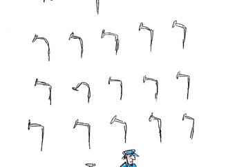 
                                                            masoud ziaei zardkhashoei11