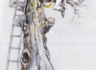 
                                                            zoran petrovic7
