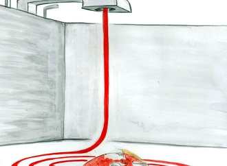 ann telnaes sweden 102