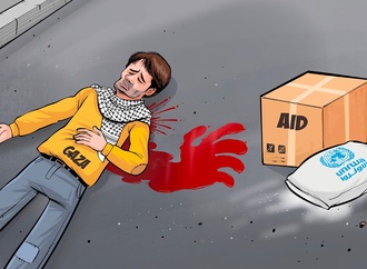 
                                                            ahmed rahma turkey12