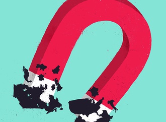 
                                                            sebastien thibault france 7