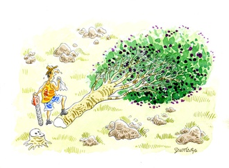 
                                                            neltair abreu santiago brazil 27