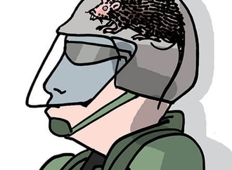 
                                                            rayma suprani venezuela 15