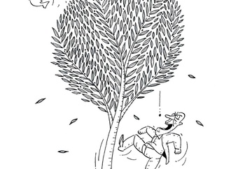 
                                                            mehmet selcuk turkey 20