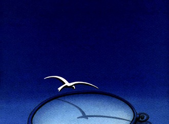 
                                                            selcuk demirel turkey 8