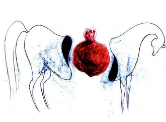 
                                                            گالری آثار علی جهانشاهی