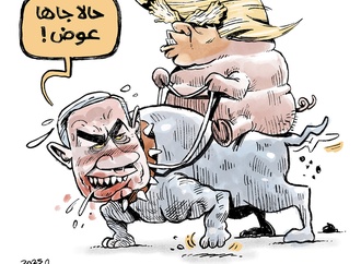 
                                                            majidadibi