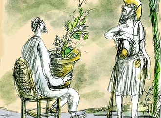 
                                                            daniel maja france 28