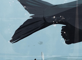 
                                                            andrea ucini denmark 12